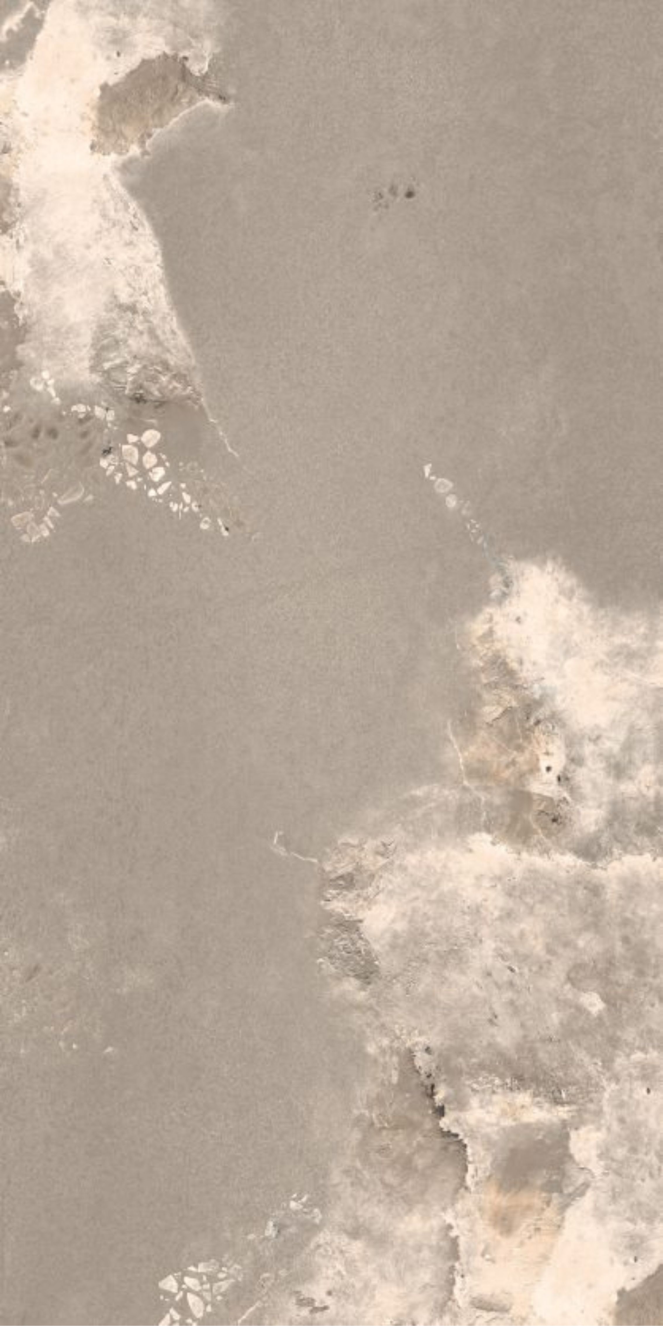 Image of Silver Spark