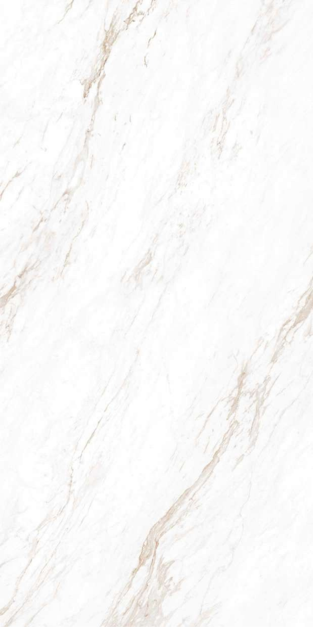 T21 Design Studio®️