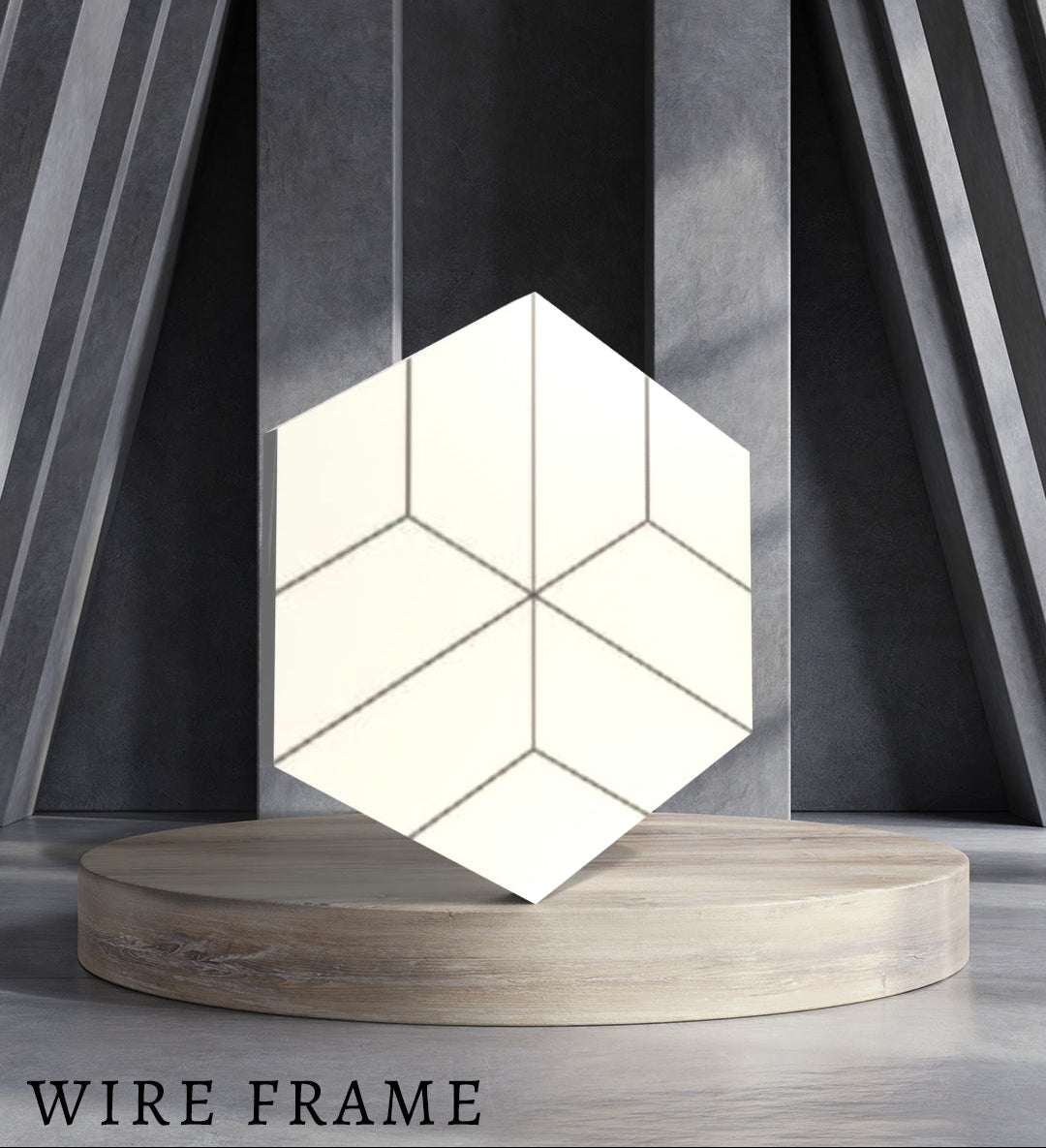 Wire Frame - The 21st Century Lifestyle