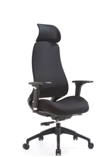 Image of Wisdom Executive Office Chair