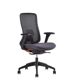 Image of Zoy Executive Office Chair