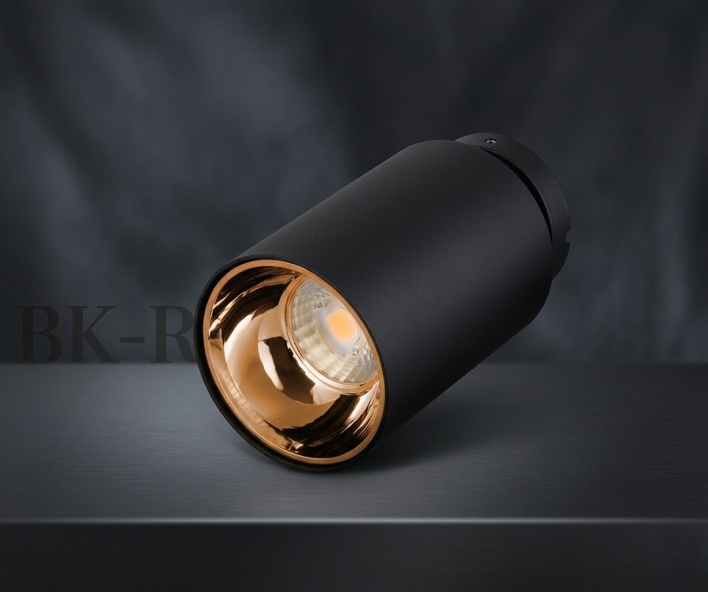 The 21st Century Lifestyle ®