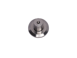 Image of CS Mushroom