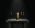CS Swastik Aldrop