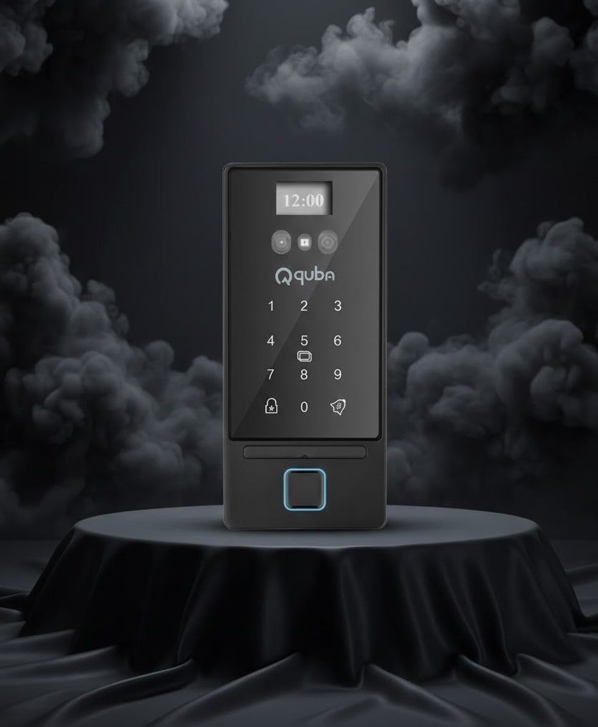 Image of Aspire Digital Main Door Locks